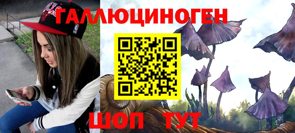 Псилоцибиновые грибы ЛСД  Псилоцибиновые грибы Cubensis  Вход с VPN  Серов 