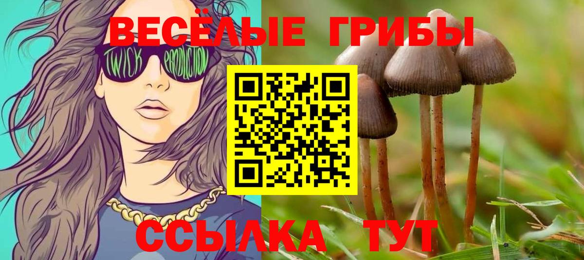 Псилоцибиновые грибы мицелий Серов